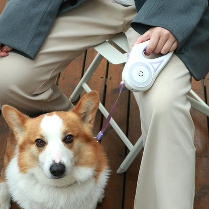 Retractable Dog Leash & Collar with Spotlight 