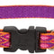 Alpen Glow 8-12" Adjustable Collar for Small Dogs - Original 1/2" Design