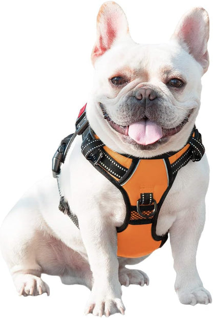 Reflective No-Pull Dog Harness for Small Dogs – Adjustable Front-Clip Vest with Handle, 2 Metal Rings & 3 Buckles, Easy On/Off (XS, Orange)