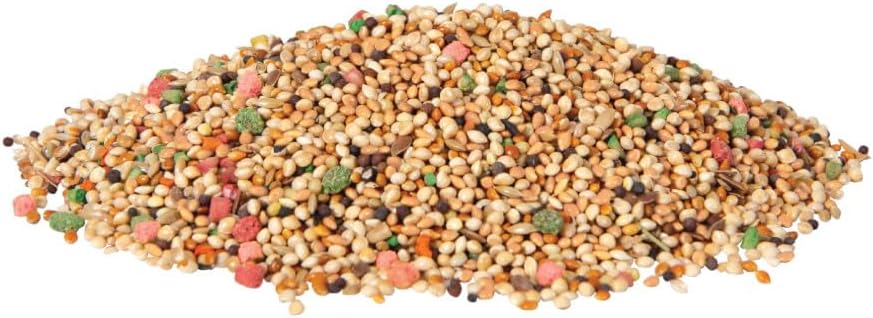 Daily Blend Bird Food for Parakeets, Canaries & Finches, 2 lbs