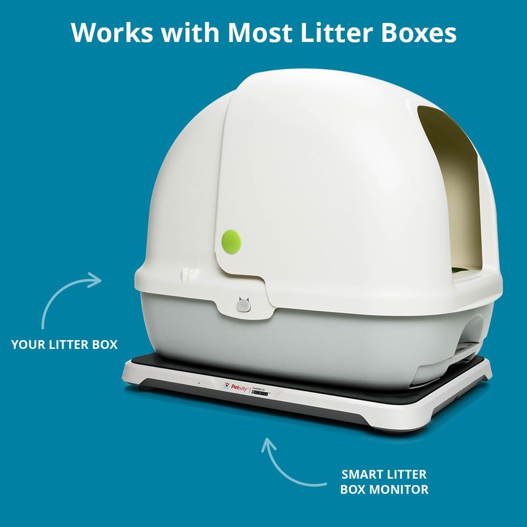  Smart Litter Box with Health Monitoring – Track Cat Wellness Effortlessly