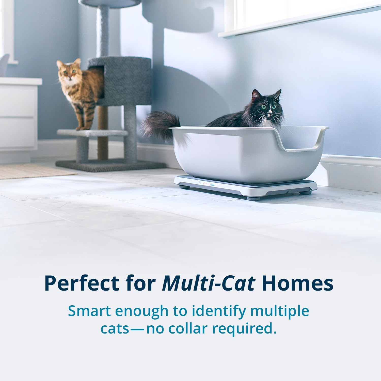  Smart Litter Box with Health Monitoring – Track Cat Wellness Effortlessly