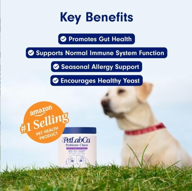 Dog Probiotics – Gut Health, Digestive Support & Allergy Relief, Pork Flavor, 30 Soft Chews