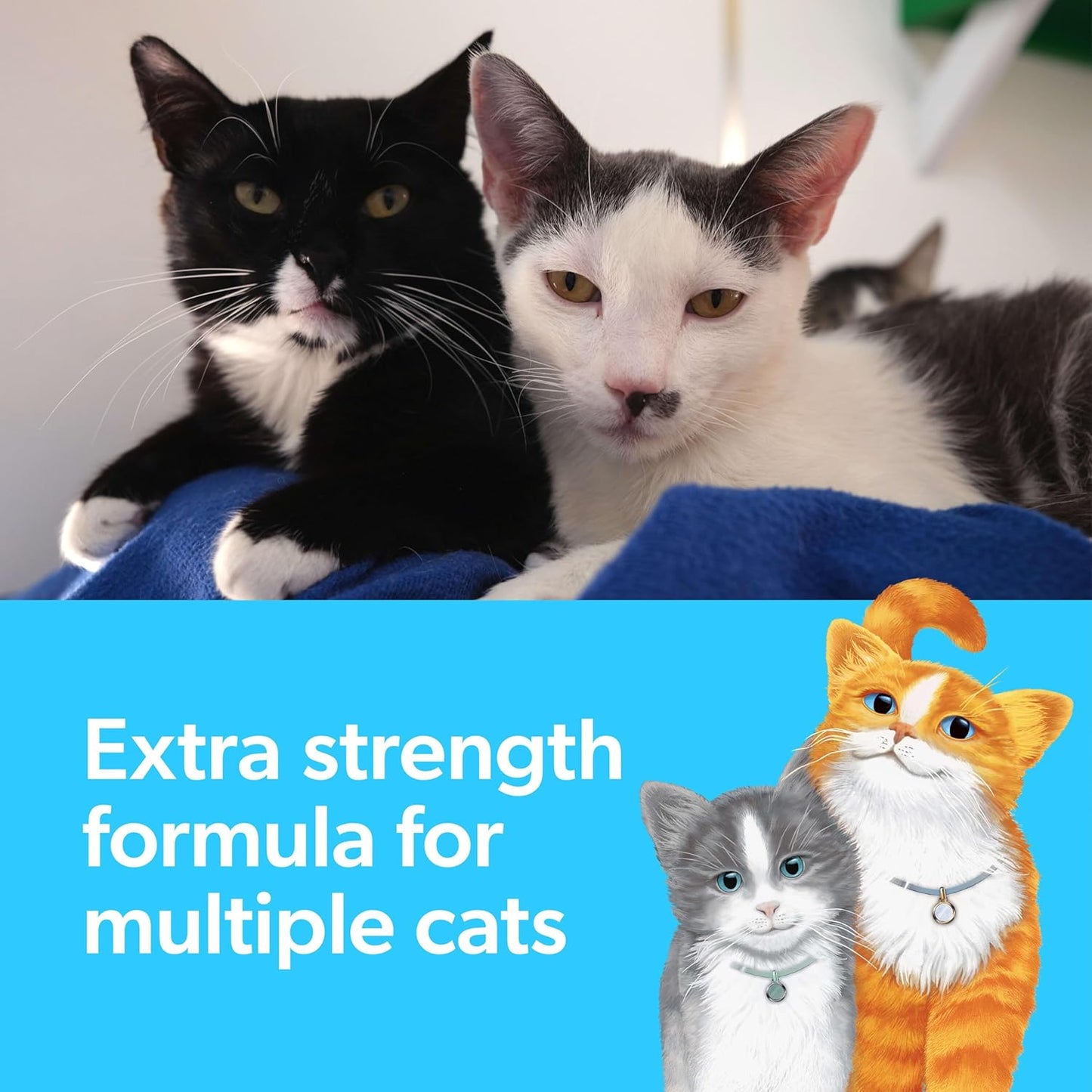 Clumping Cat Litter Multi-Cat Extra Strength Formula with Febreze Freshness, Multi Cat Litter with Ammonia Block Technology, 14 Lb. Box