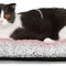 Self-Warming Cat & Dog Bed – 24"x18" Thermal Pet Mat with Removable Cover, Non-Slip Bottom, Washable, Extra Warm for Indoor/Outdoor Use