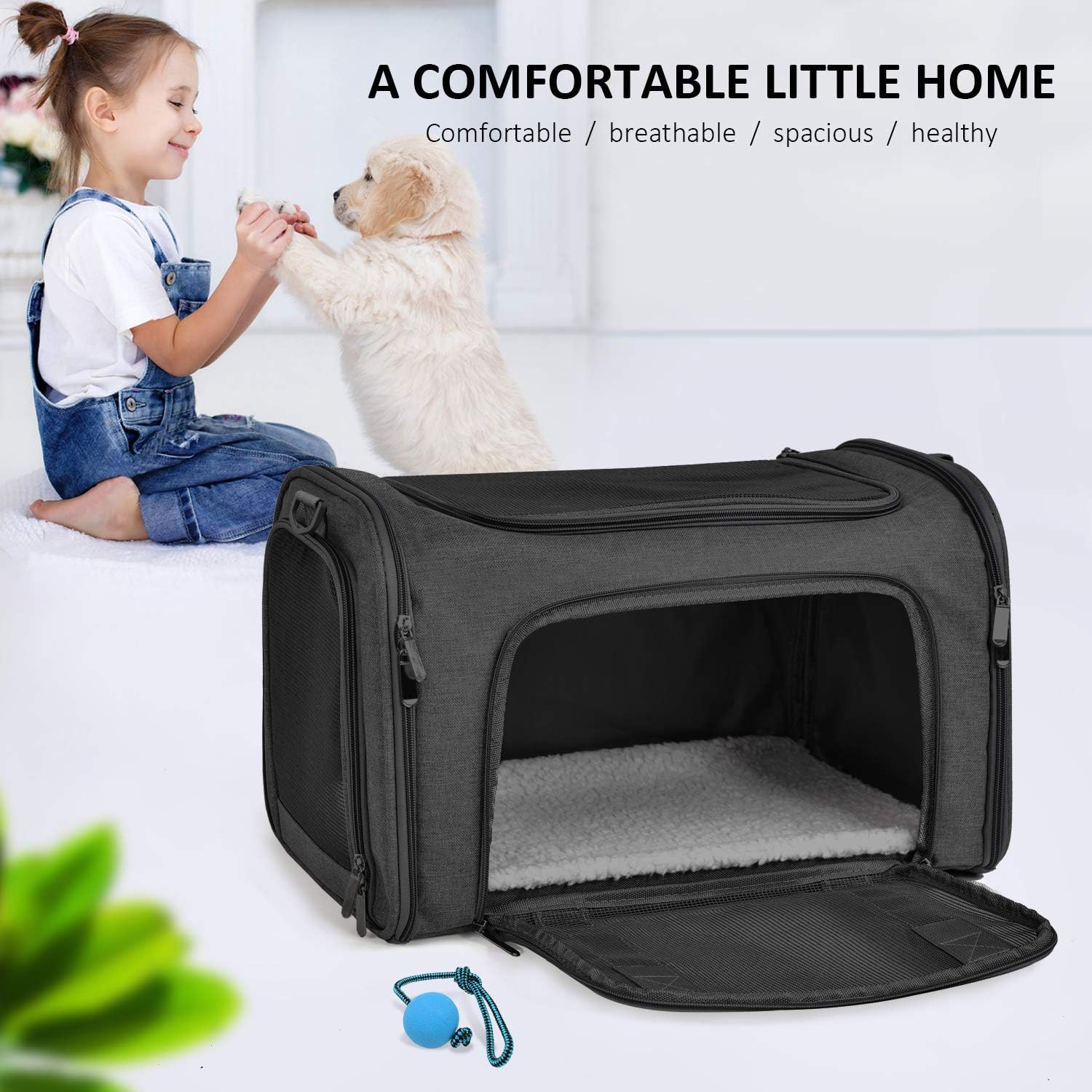 Airline-Approved Pet Carrier – Soft-Sided, Collapsible Travel Bag for Cats & Small Dogs Up to 15 lbs (Black)