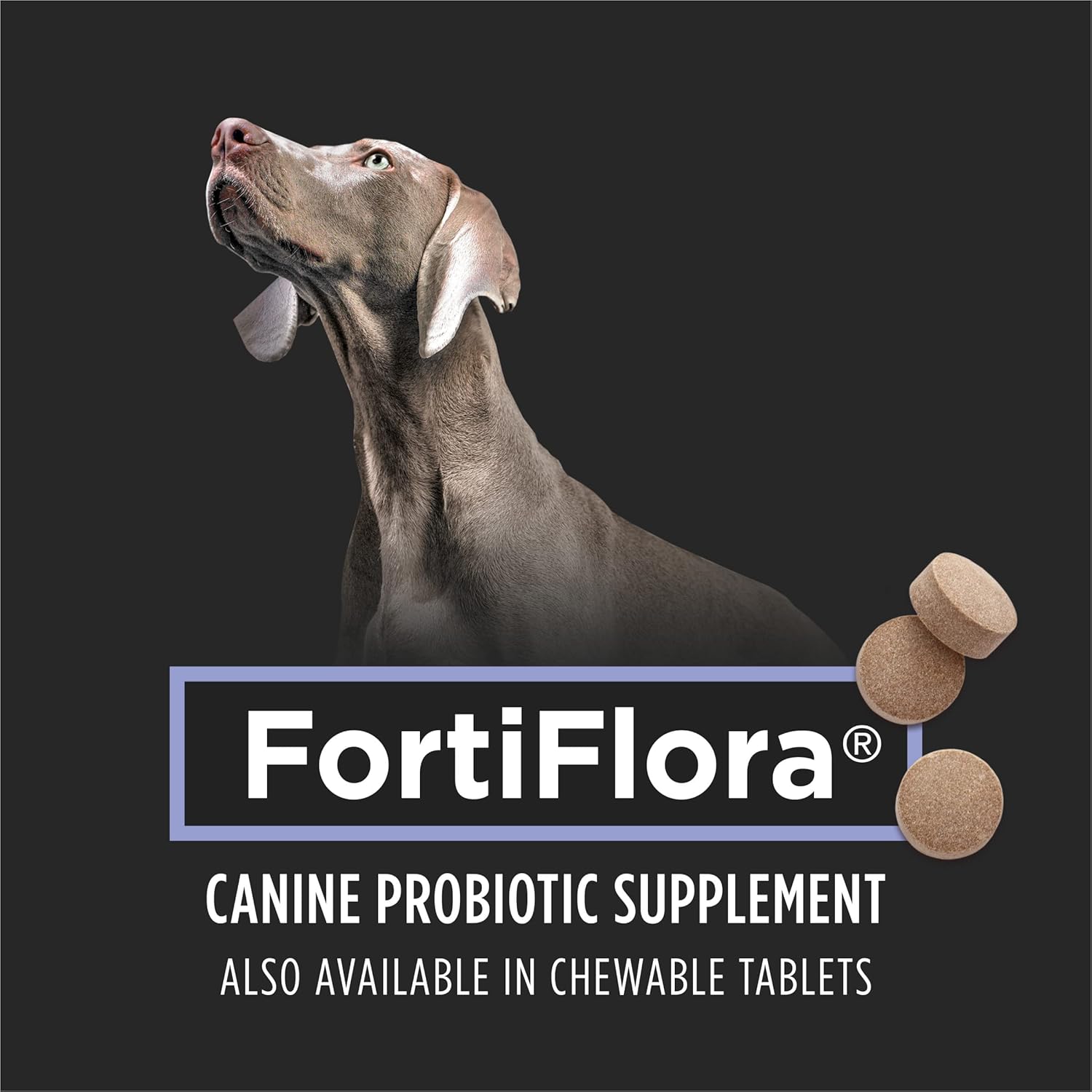 Purina Pro Plan Fortiflora Dog Probiotic – Veterinary Canine Nutritional Supplement, 30-Count Box