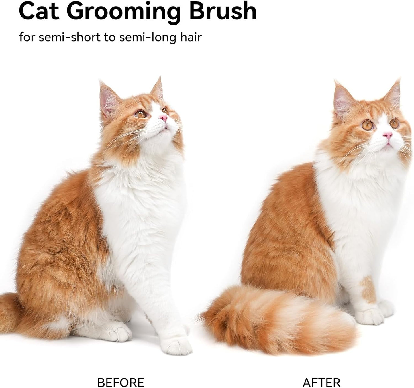 Cat Shedding Brush – Grooming Tool for Long & Short Haired Cats, Dogs, and Rabbits – Removes Loose Fur & Provides Gentle Massage