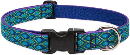 Adjustable 1" Rain Song Collar for Medium to Large Dogs - 12-20" Size