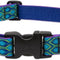 Adjustable 1" Rain Song Collar for Medium to Large Dogs - 12-20" Size