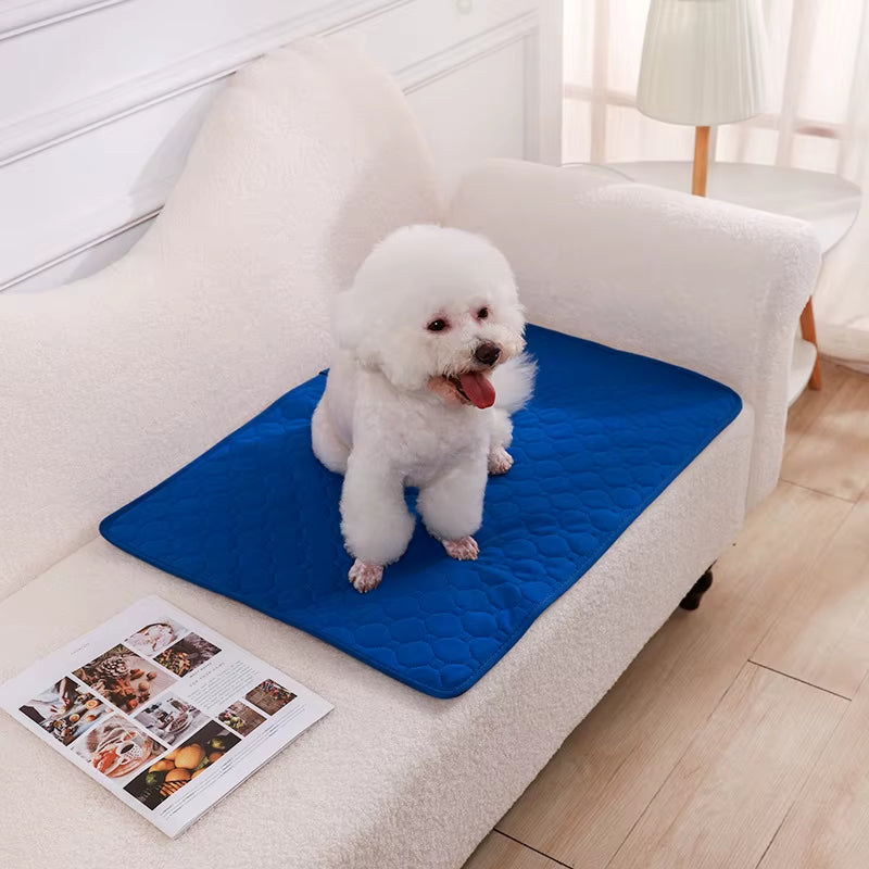 Washable, Reusable Dog Pee Pad – Non-Slip Training & Car Seat Cover