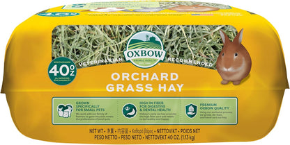 All-Natural Orchard Grass Hay for Small Pets – Chinchillas, Rabbits, Guinea Pigs & Hamsters – USA-Grown, Fiber-Rich, 40 oz