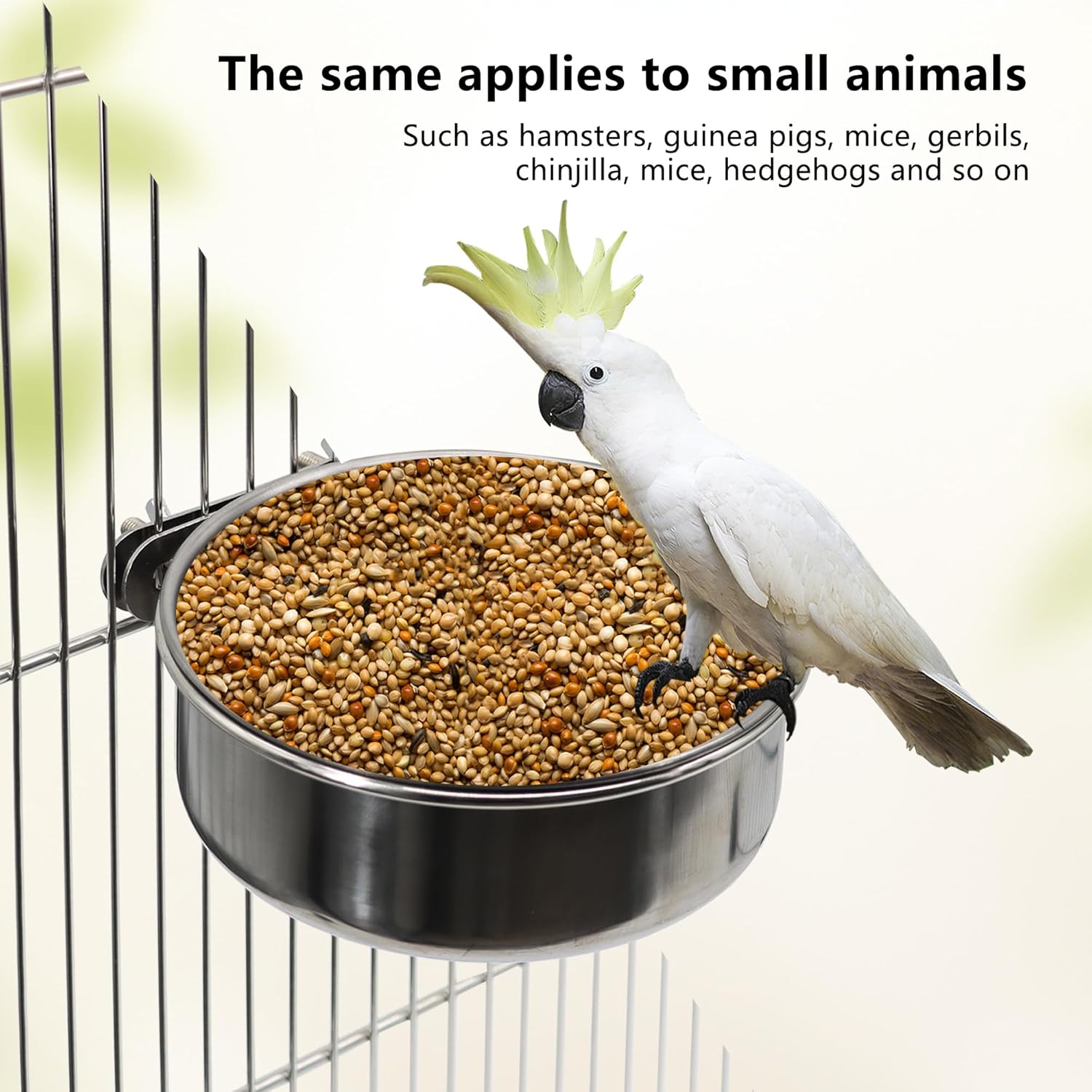 2-Pack Small Bird Food & Water Bowls – Stainless Steel with Clamp Holder for Parrots, Cockatiels, Lovebirds & More