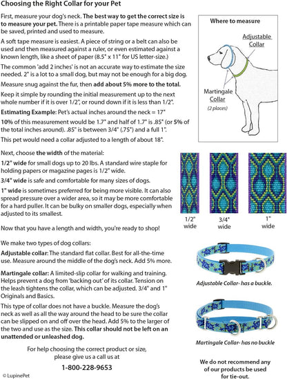 Adjustable 1" Rain Song Collar for Medium to Large Dogs - 12-20" Size