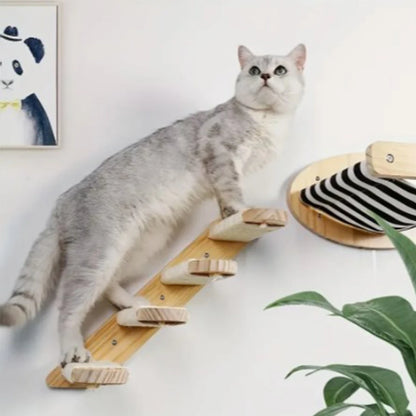 50cm Wall-Mounted Cat Climbing Frame – Hammock, Ladder & Sisal Scratch Post for Indoor Cats