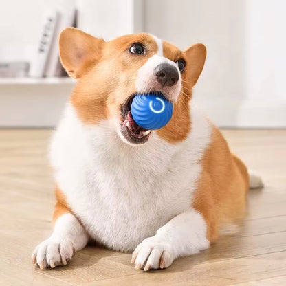 Interactive Smart Dog Toy Ball - Automatic Moving & Bouncing USB Pet Fun for Puppies & Cats - Perfect Birthday Gift!