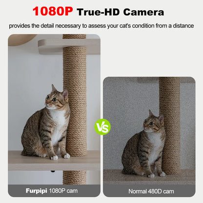 8L Smart Automatic Pet Feeder – 1080P Camera, 5G WiFi, Tuya App Control, Voice Recorder, and Timed Food Dispenser for Cats & Dogs