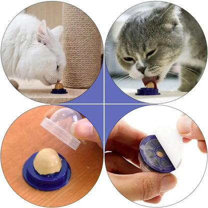 Catnip Energy Candy Ball – Healthy, Nutritious, Interactive Vitamin Treats for Cats