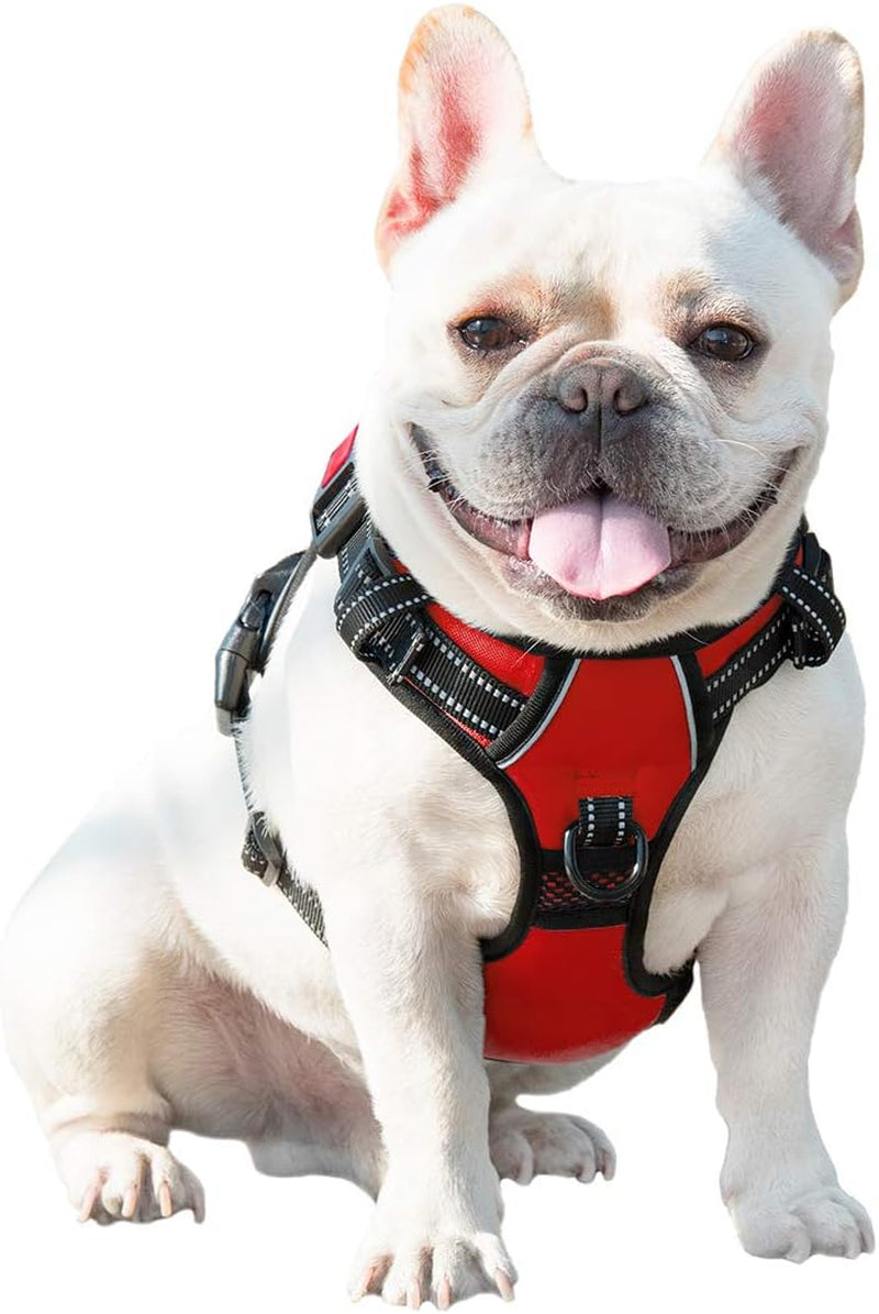 Reflective No-Pull Dog Harness for Small Dogs – Adjustable Front-Clip Vest with Handle, 2 Metal Rings & 3 Buckles, Easy On/Off (XS, Red)