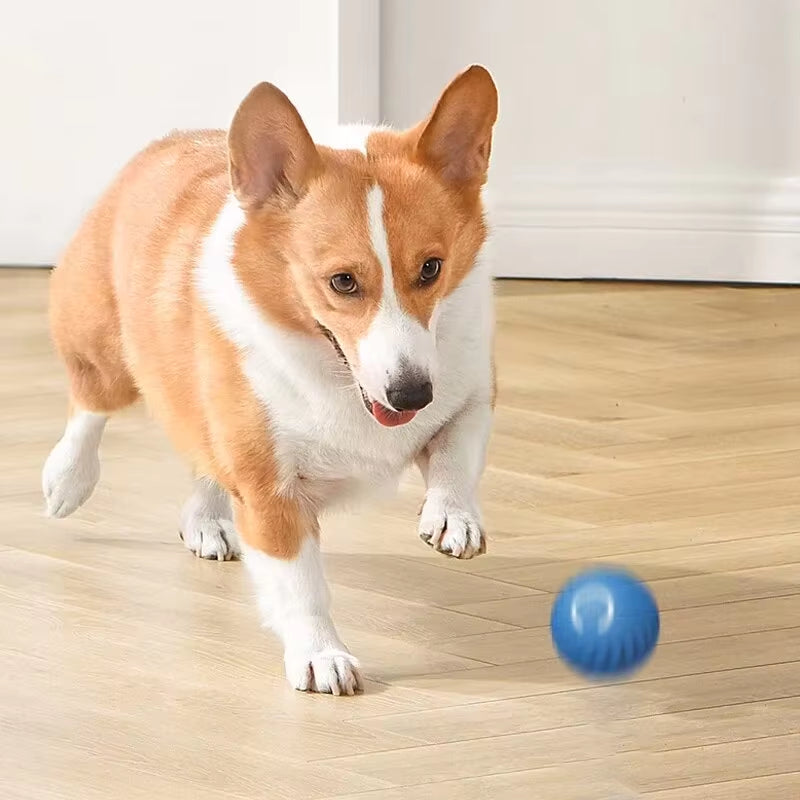 Interactive Smart Dog Toy Ball - Automatic Moving & Bouncing USB Pet Fun for Puppies & Cats - Perfect Birthday Gift!