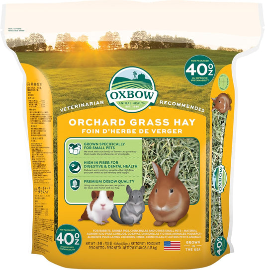 All-Natural Orchard Grass Hay for Small Pets – Chinchillas, Rabbits, Guinea Pigs & Hamsters – USA-Grown, Fiber-Rich, 40 oz