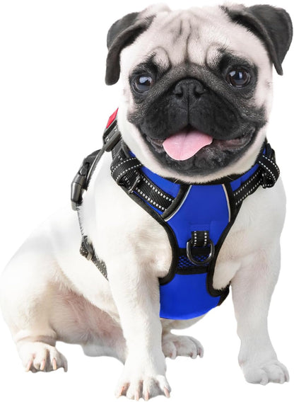 Reflective No-Pull Dog Harness for Small Dogs – Adjustable Front-Clip Vest with Handle, 2 Metal Rings & 3 Buckles, Easy On/Off (XL, Royal Blue)