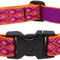 Alpen Glow Adjustable Collar for Large Dogs - 1" Width, 16-28" Size Range