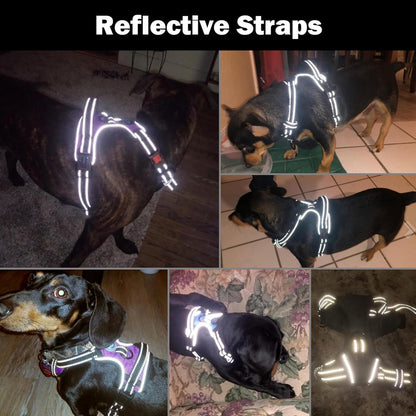 Reflective No-Pull Dog Harness for Small Dogs – Adjustable Front-Clip Vest with Handle, 2 Metal Rings & 3 Buckles, Easy On/Off (M, Black)