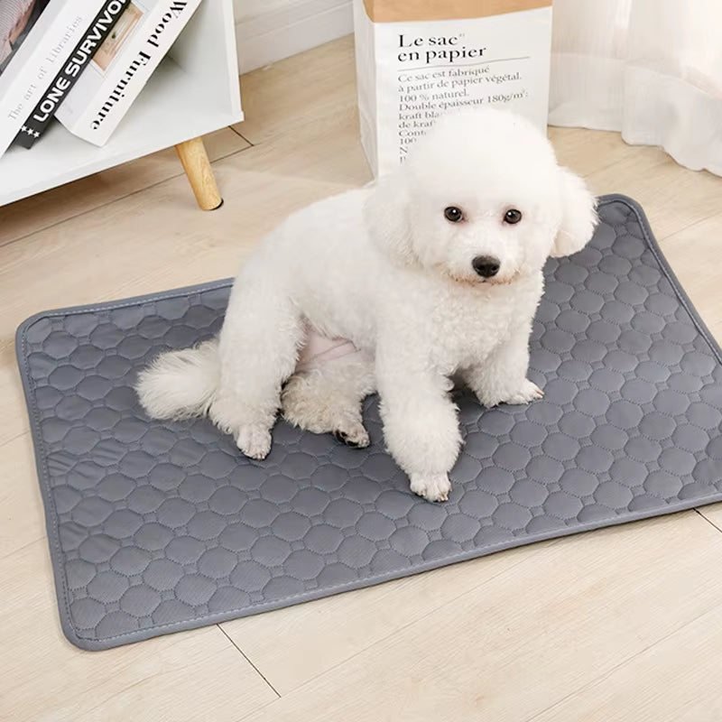 Washable, Reusable Dog Pee Pad – Non-Slip Training & Car Seat Cover