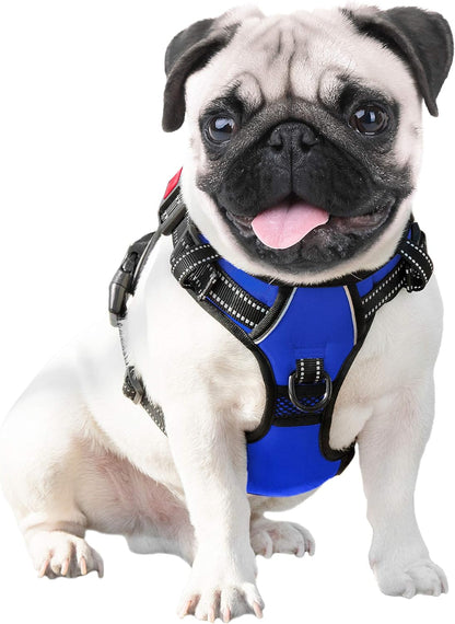 Reflective No-Pull Dog Harness for Small Dogs – Adjustable Front-Clip Vest with Handle, 2 Metal Rings & 3 Buckles, Easy On/Off (XS, Royal Blue)